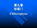 1-6绿藻门