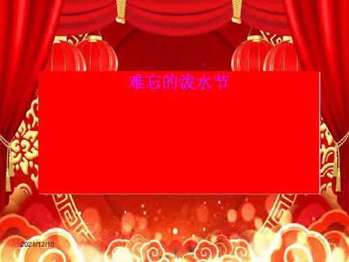 二年级语文下册 11 难忘的泼水节教学课件小学二年级下册语文课件