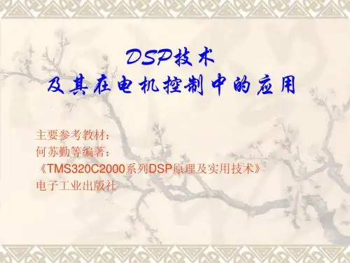 DSP 第一章概述