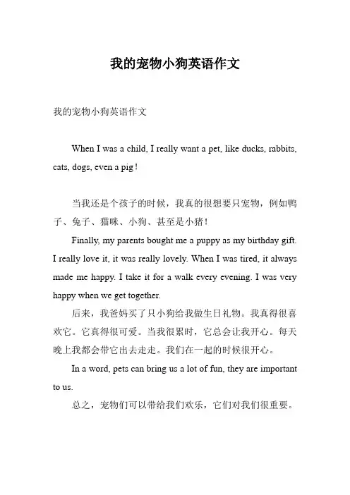 我的宠物小狗英语作文 2