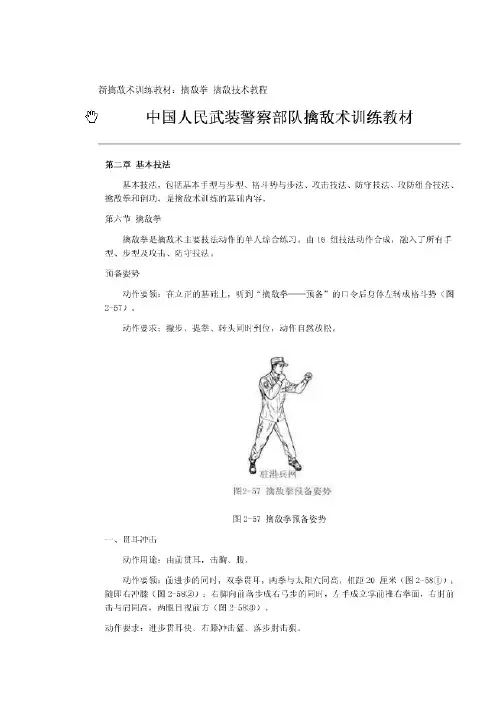 擒敌拳教案