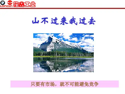 隆鑫摩托车霸道系列2006.7.12