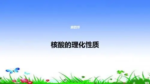 核酸的理化性质