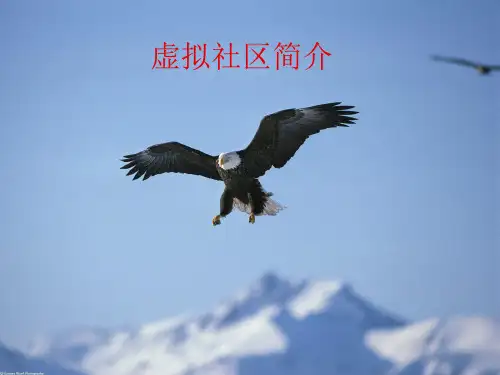 虚拟社区的管理模式及案例分析