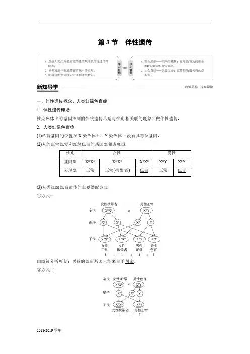2018-2019学年人教版必修2   第2章 第3节伴性遗传 学案