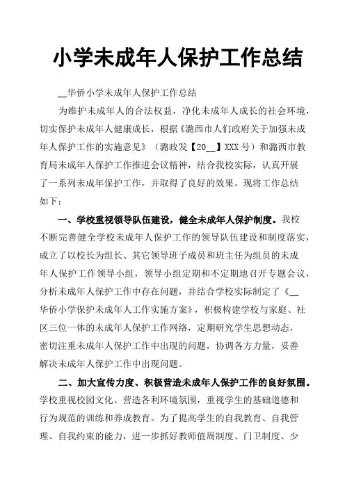 小学未成年人保护工作总结 2