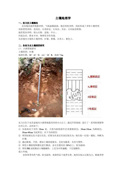 土壤实习报告