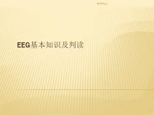 EEG基本知识及判读ppt课件