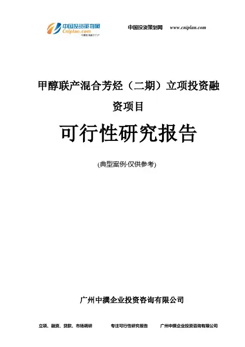 甲醇联产混合芳烃(二期)融资投资立项项目可行性研究报告(中撰咨询)