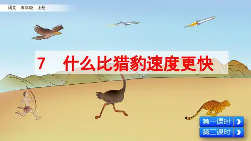 部编版小学五年级语文上册第7课《什么比猎豹的速度更快》精美课件