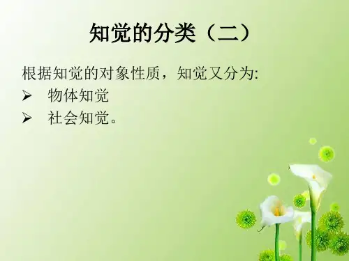 知觉的分类二