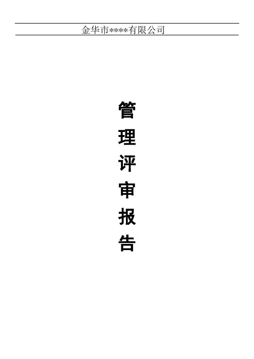 管理评审报告 2