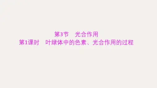 高中生物 第5章第3节 第1课时 叶绿体中的色素、光合作用的过程课件 北师大版必修1