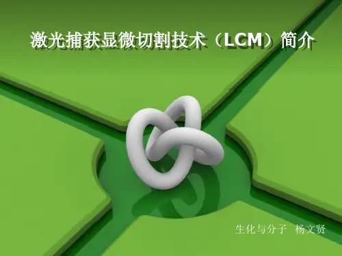 LCM技术