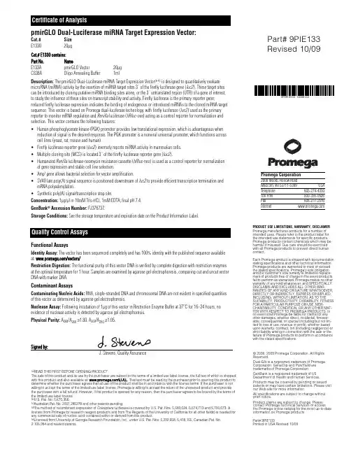 pmirGLO vector