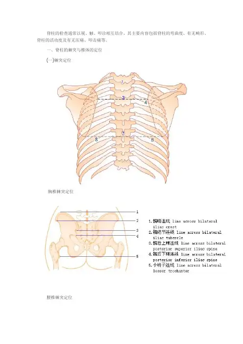 体格检查——脊柱检查2