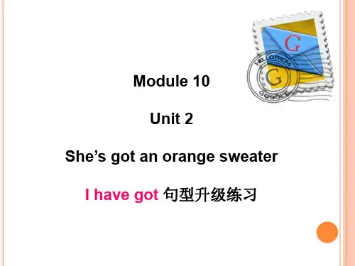 外研版(三起)三下英语:M10U2She’s got an orange sweater