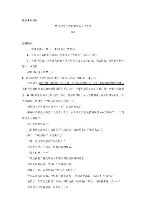 山东省枣庄市2018年中考语文试题(word版,含答案)