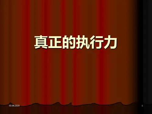 真正的执行力PPT课件