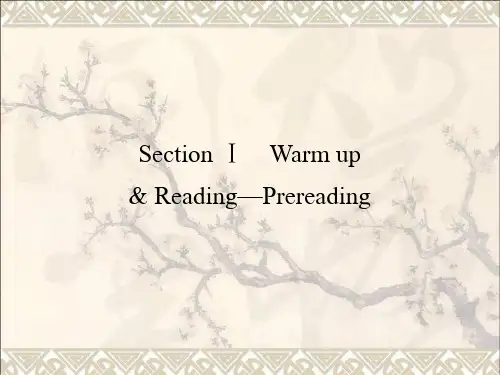 2016_2017学年高中英语Unit5InsideadvertisingSectionⅠWarmingup