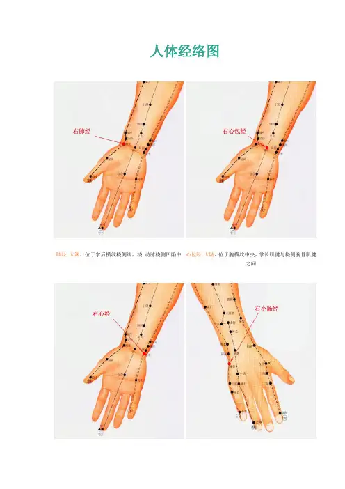 十二经络与养生