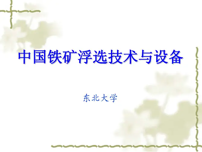 浮选技术与设备原理