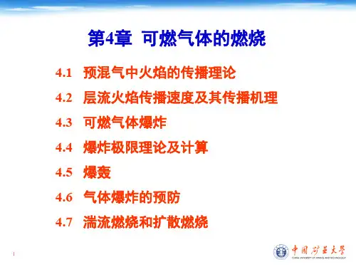 第 4 章 可燃气体燃烧