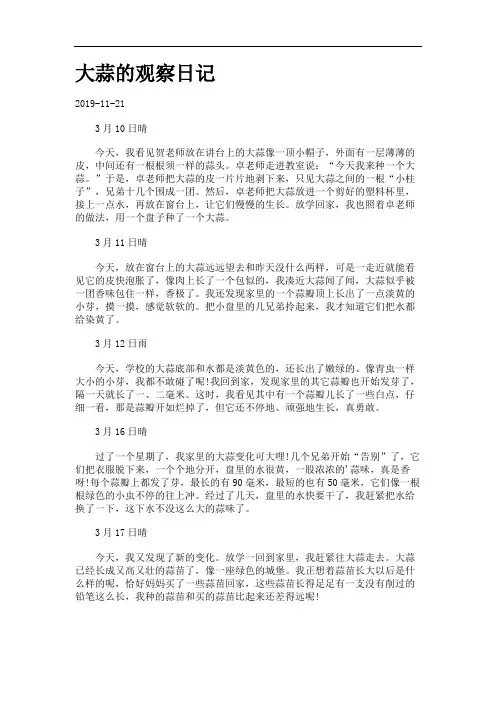 大蒜的观察日记.