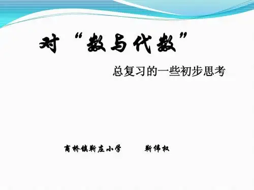 2013年数与代数总复习666666