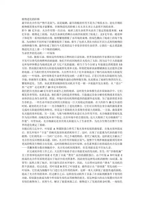 植物进化的阶梯