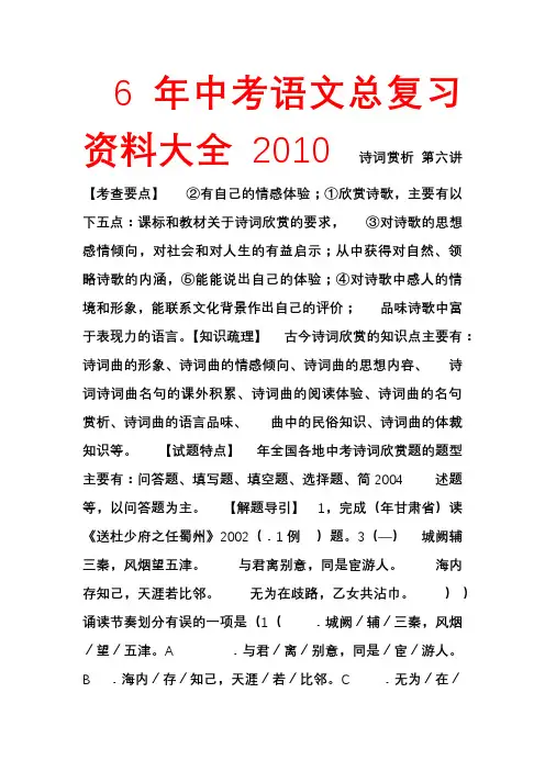 2010年中考语文总复习资料大全6