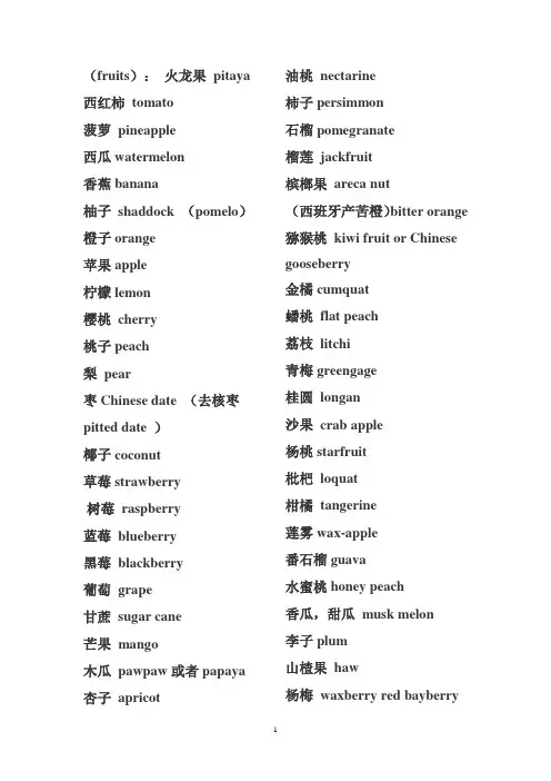 日常英语单词大全