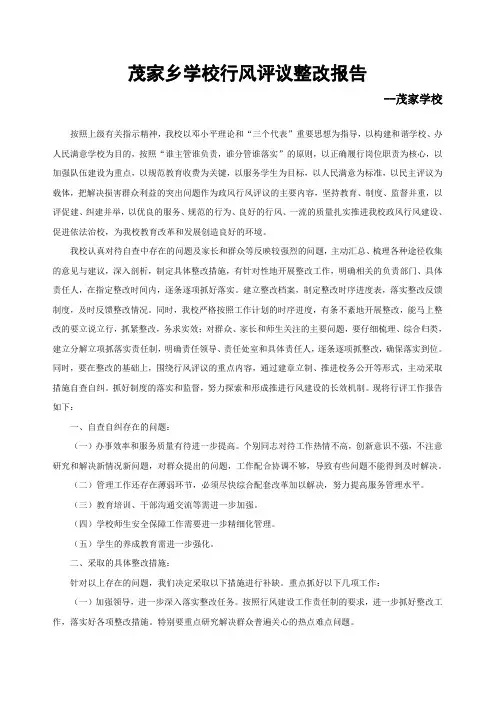 行风评议整改报告