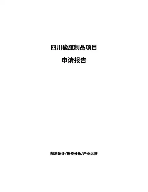 四川橡胶制品项目申请报告