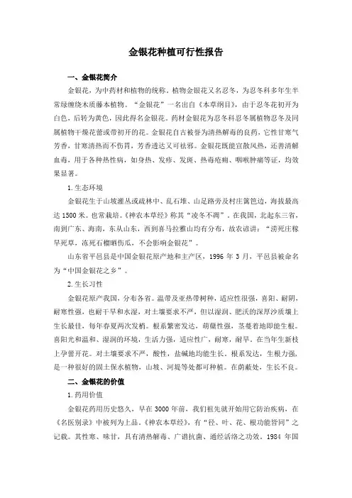 金银花种植的可行性报告
