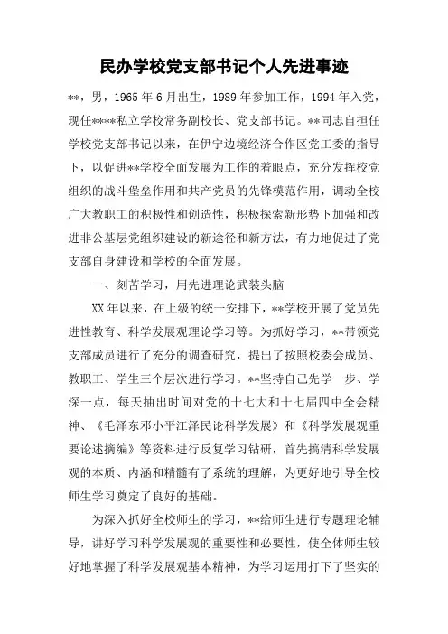 民办学校党支部书记个人先进事迹
