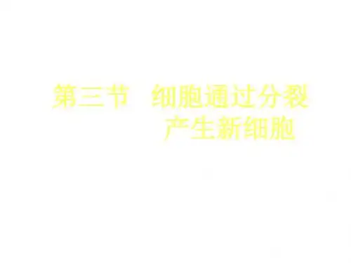 细胞通过分裂产生新细胞