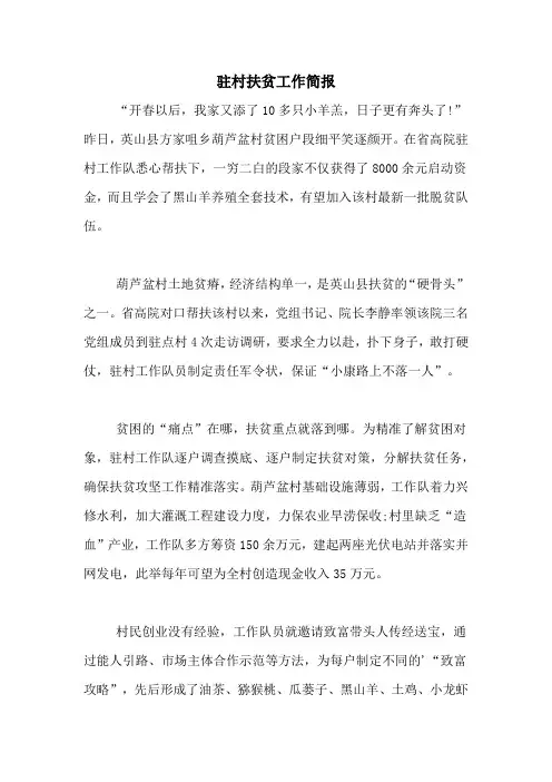 2020年驻村扶贫工作简报