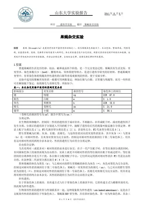 果蝇杂交实验 山东大学