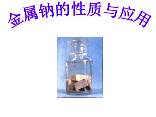 高中化学苏教版必修一 2.2.1 钠、镁及其化合物 金属钠的性质与应用(共18张PPT)