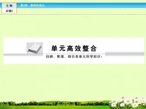 (人教版)高中生物必修二课件：单元高效整合ppt课件