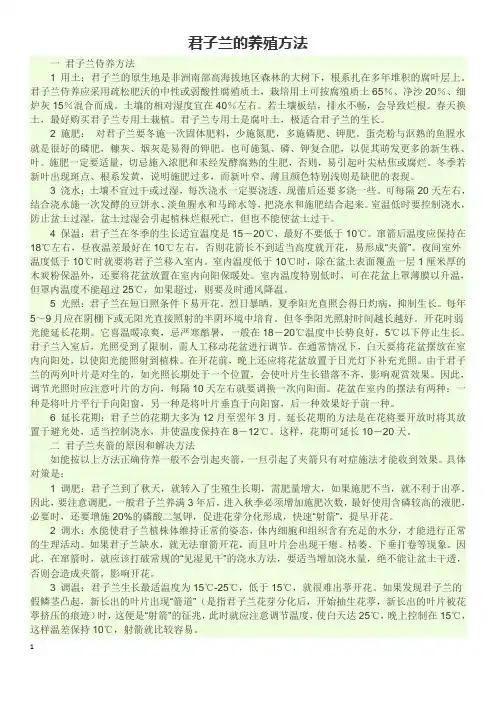 君子兰的养殖方法