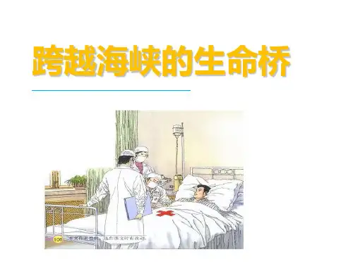 语文人教版四年级上册 22. 跨越海峡的生命桥