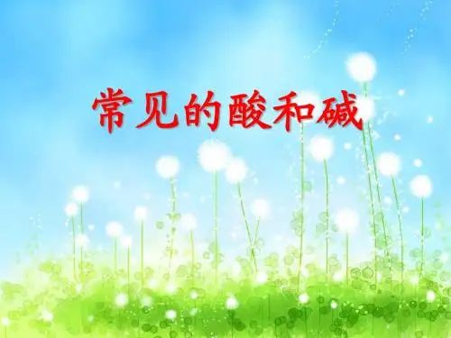 常见的酸和碱