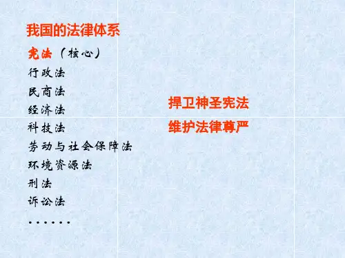 第二章 宪法法律制度