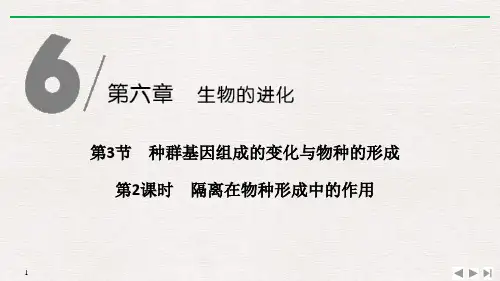 《种群基因组成的变化与物种的形成》生物的进化PPT课件(第2课时隔离在物种形成中的作用)【精选推荐下载】