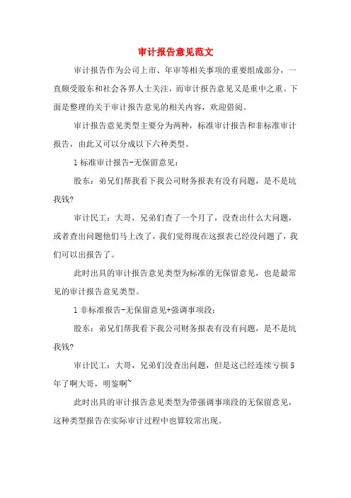 审计报告意见范文