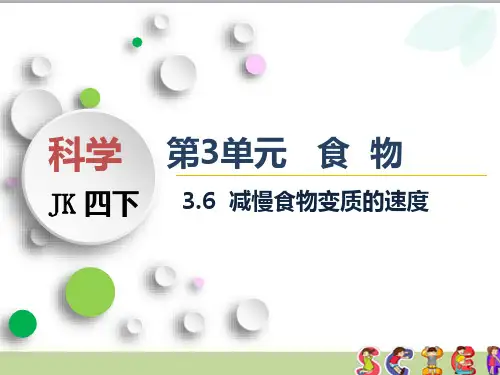 教科版四年级科学下册3.6 减慢食物变质的速度(课件)