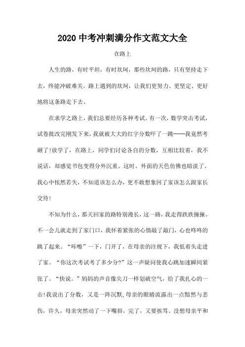 2020中考冲刺满分作文范文大全