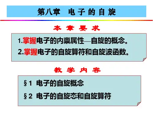 第八章 电子的自旋分析